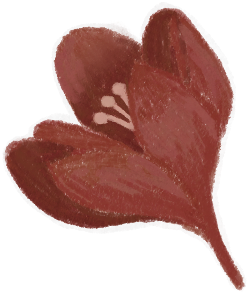 Flor