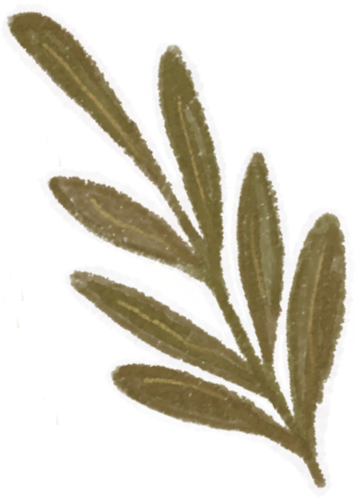 Flor